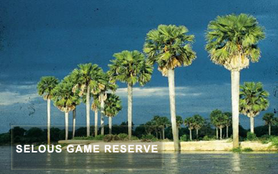 selous